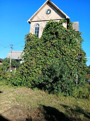 Дом по адресу (площадь 30 м²) - Atlanta.ua - фото 28