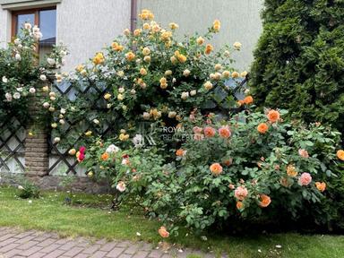 Будинок за адресою вул. Тараса Шевченка (площа 290 м²) - Atlanta.ua - фото 44