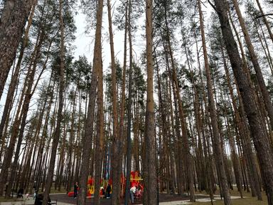 House by the address (area 128 m²) - Atlanta.ua - photo 96