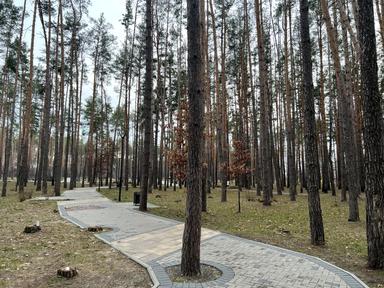 House by the address (area 128 m²) - Atlanta.ua - photo 98