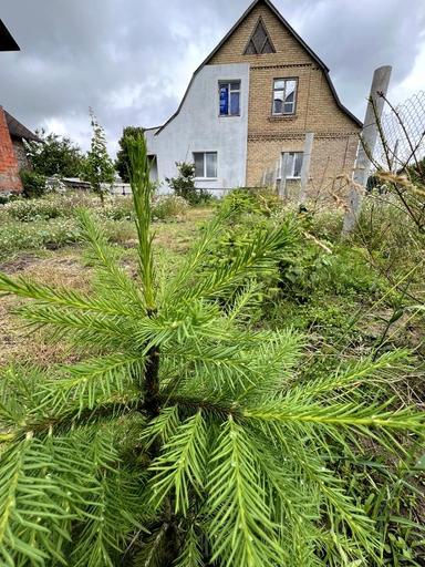 House by the address st. Stepovaya (area 131 m²) - Atlanta.ua - photo 27