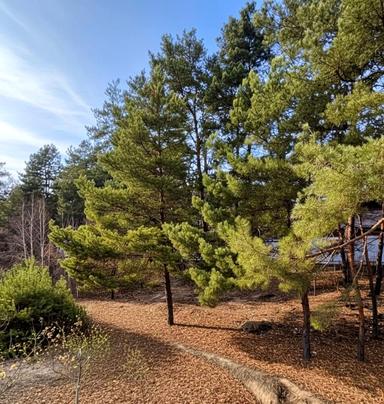 Будинок за адресою (площа 180 м²) - Atlanta.ua - фото 39