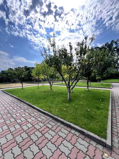 Будинок за адресою (площа 160 м²) - Atlanta.ua - фото 6