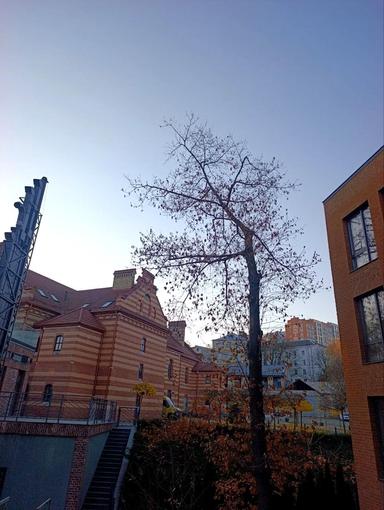 1-кімнатна квартира за адресою вул. Клепарівська (площа 53 м²) - Atlanta.ua - фото 27