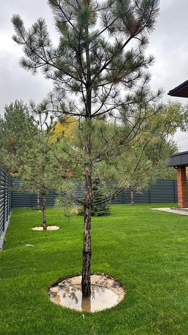 Будинок за адресою (площа 170 м²) - Atlanta.ua - фото 34