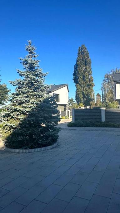 Будинок за адресою вул. Соборна (площа 250 м²) - Atlanta.ua - фото 50