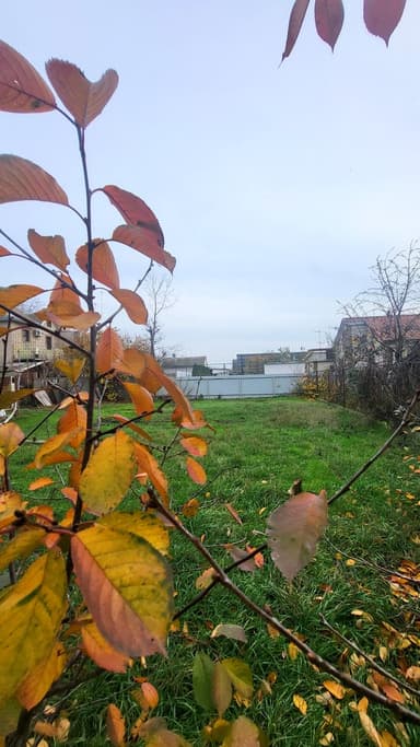 3-комнатная квартира по адресу ул. Житомирская (площадь 62 м²) - Atlanta.ua - фото 24