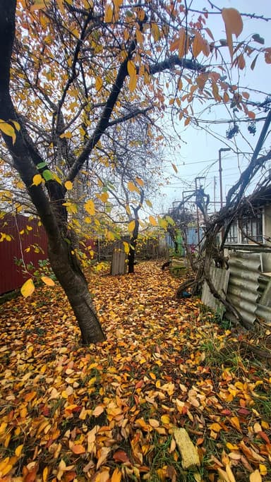 3-комнатная квартира по адресу ул. Житомирская (площадь 62 м²) - Atlanta.ua - фото 28