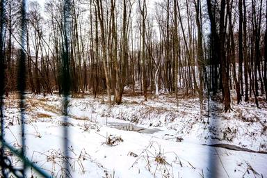 Будинок за адресою (площа 560 м²) - Atlanta.ua - фото 109