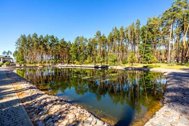 House by the address (area 236 m²) - Atlanta.ua - photo 46