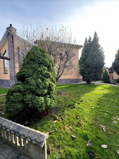 Будинок за адресою (площа 240 м²) - Atlanta.ua - фото 37