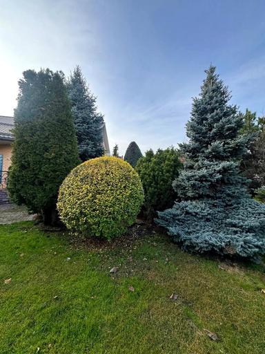 Будинок за адресою (площа 240 м²) - Atlanta.ua - фото 48