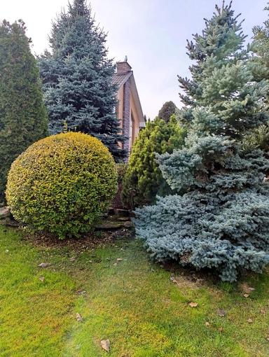 Будинок за адресою (площа 240 м²) - Atlanta.ua - фото 51