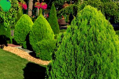 House by the address st. Platanovaya (area 210 m²) - Atlanta.ua - photo 12