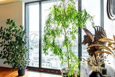 2-кімнатна квартира за адресою вул. Жилянська (площа 97,2 м²) - Atlanta.ua - фото 51