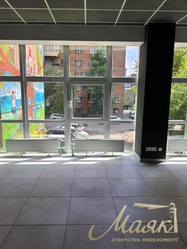 Комерційна нерухомість за адресою вул. Річкова (площа 280 м²) - Atlanta.ua - фото 25