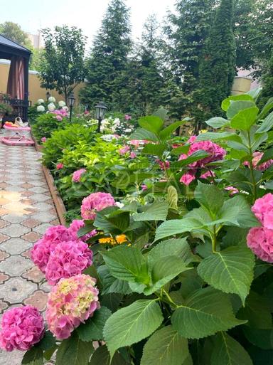 Дом по адресу ул. Старонаводницкая (площадь 709 м²) - Atlanta.ua - фото 28