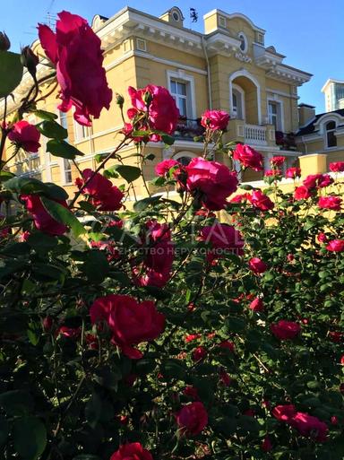 Дом по адресу ул. Старонаводницкая (площадь 709 м²) - Atlanta.ua - фото 33