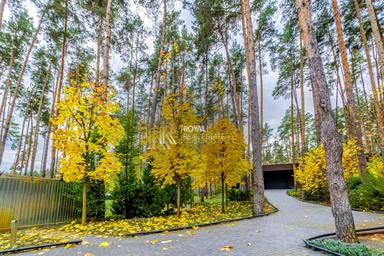 Будинок за адресою (площа 420 м²) - Atlanta.ua - фото 102