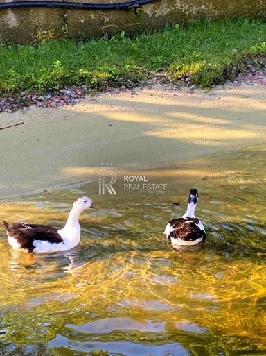 Дом по адресу (площадь 200 м²) - Atlanta.ua - фото 77