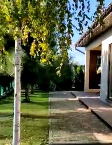 Дом по адресу ул. Дача Ковалевского (площадь 170 м²) - Atlanta.ua - фото 22