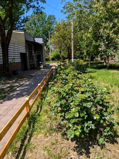 Комерційна нерухомість за адресою (площа 240 м²) - Atlanta.ua - фото 6