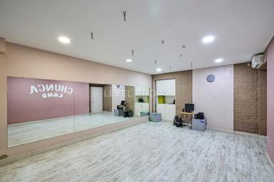 Комерційна нерухомість за адресою вул. Шота Руставелі (площа 290 м²) - Atlanta.ua - фото 62