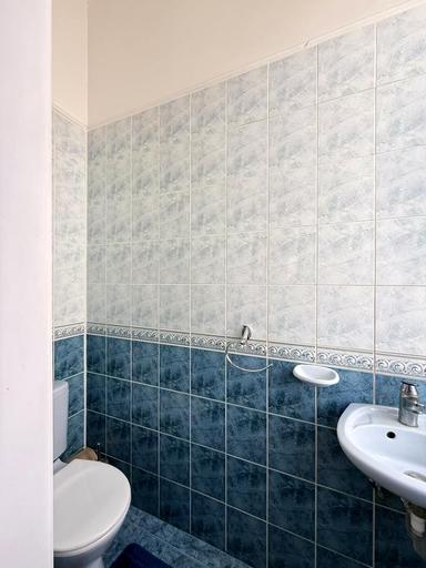 Дом по адресу ул. Грушевского Михаила (площадь 429 м²) - Atlanta.ua - фото 58