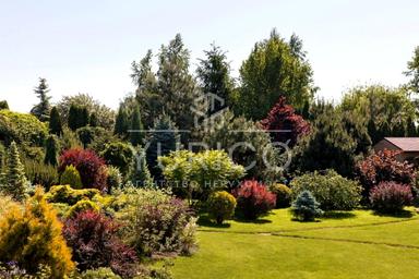 Дом по адресу (площадь 1014 м²) - Atlanta.ua - фото 67