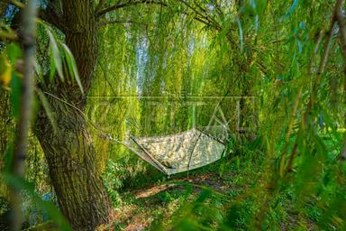 Дом по адресу (площадь 300 м²) - Atlanta.ua - фото 64