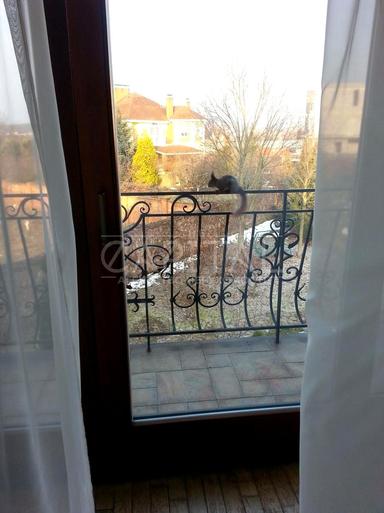 House by the address (area 550 m²) - Atlanta.ua - photo 32