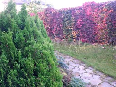 House by the address (area 550 m²) - Atlanta.ua - photo 37