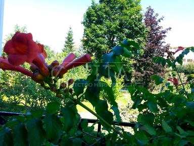 House by the address (area 550 m²) - Atlanta.ua - photo 39