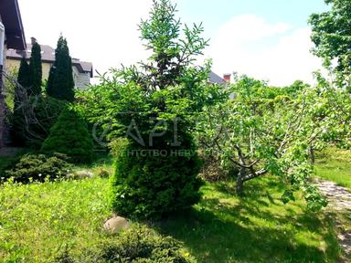 House by the address (area 550 m²) - Atlanta.ua - photo 40