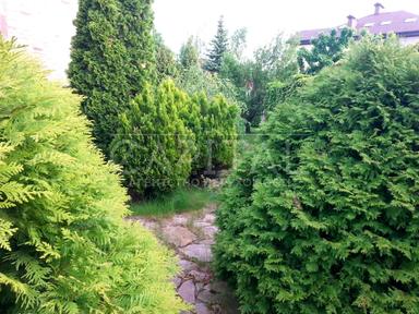 House by the address (area 550 m²) - Atlanta.ua - photo 41