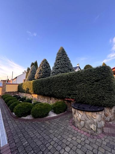 Дом по адресу (площадь 260 м²) - Atlanta.ua - фото 79