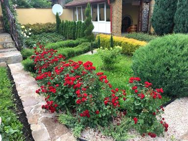 Дом по адресу (площадь 260 м²) - Atlanta.ua - фото 78