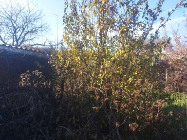 Будинок за адресою вул. Аеродромна (площа 58 м²) - Atlanta.ua - фото 12