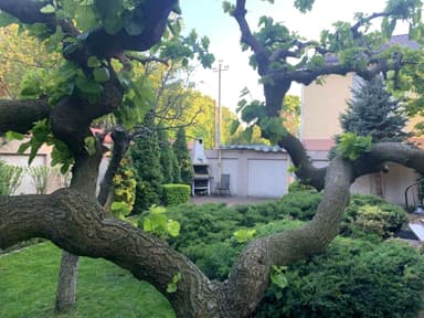 Многокомнатная квартира по адресу ул. Университетская (площадь 270 м²) - Atlanta.ua - imageAlt 17