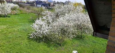 Дом по адресу ул. Сушко (площадь 262,4 м²) - Atlanta.ua - фото 31