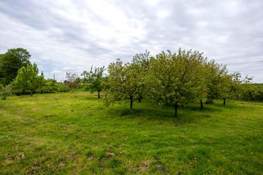 Дом по адресу ул. Сушко (площадь 262,4 м²) - Atlanta.ua - фото 25
