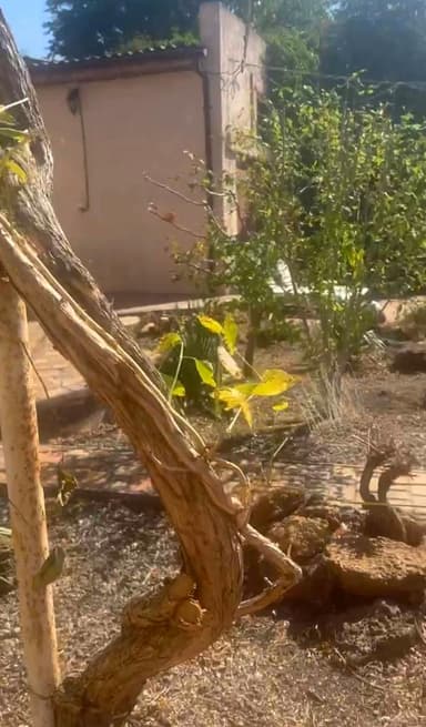 3-комнатная квартира по адресу Черноморский 8-й пер. (площадь 100 м²) - Atlanta.ua - фото 10