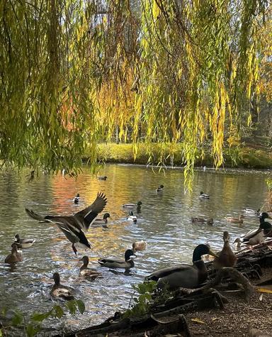 3-rooms apartment apartment by the address (area 93 m²) - Atlanta.ua - photo 85