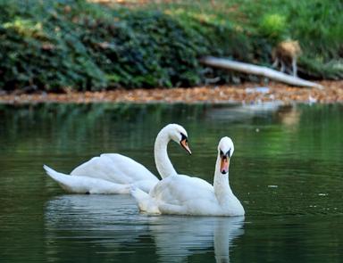 3-rooms apartment apartment by the address (area 93 m²) - Atlanta.ua - photo 84