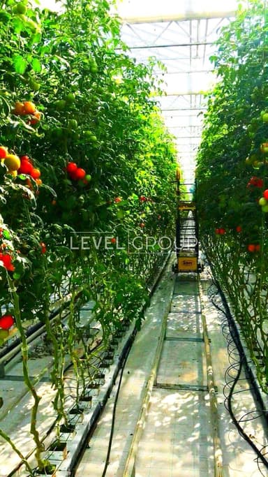 Коммерческая недвижимость по адресу (площадь 10200 м²) - Atlanta.ua - imageAlt 10