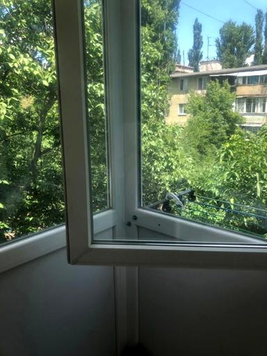 3-комнатная квартира по адресу ул. Филатова ак. (площадь 58 м²) - Atlanta.ua - фото 18