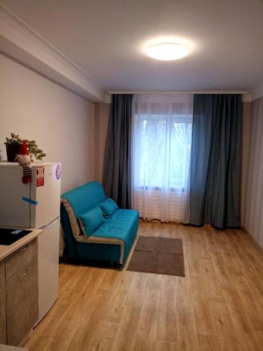 1-комнатная квартира по адресу Брест-Литовский пер. (площадь 21 м²) - Atlanta.ua - фото 22