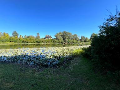 Будинок за адресою (площа 161 м²) - Atlanta.ua - фото 55
