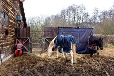 Будинок за адресою (площа 400 м²) - Atlanta.ua - фото 116