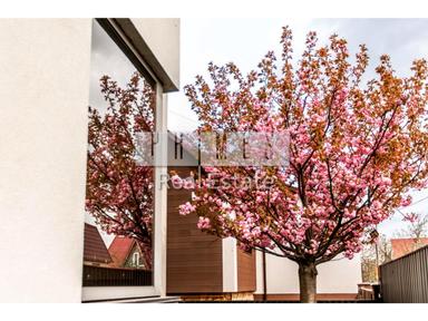 Дом по адресу (площадь 300 м²) - Atlanta.ua - фото 75